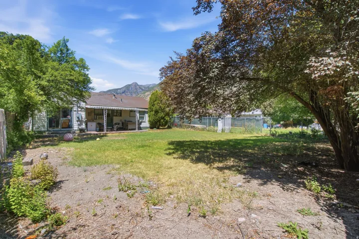 Expansive backyard featuring a partial lawn, mature trees, and a covered back patio