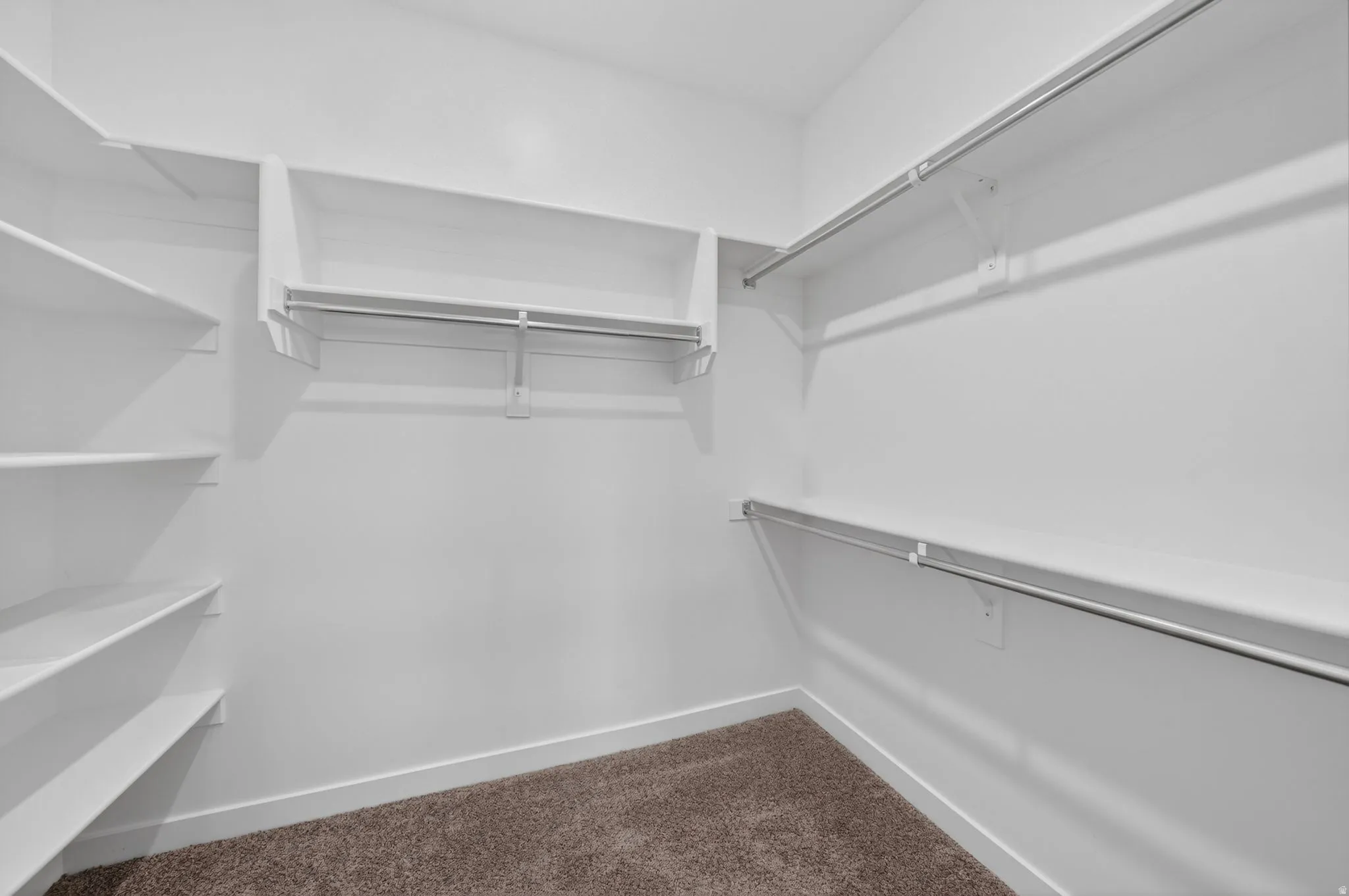Walk-in closet featuring white walls, white baseboards, and brown carpet flooring