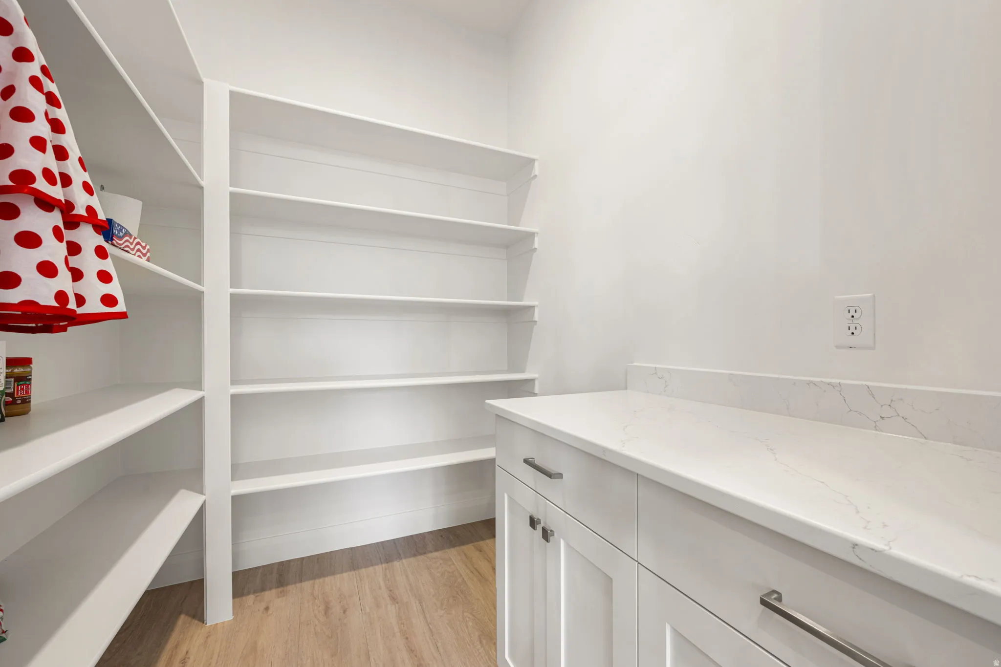 Spacious pantry featuring extensive built-in shelving, white cabinetry with contemporary hardware, and a stone-finish countertop