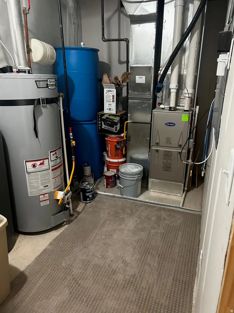 Dedicated utility area featuring a water heater, furnace, and essential plumbing infrastructure