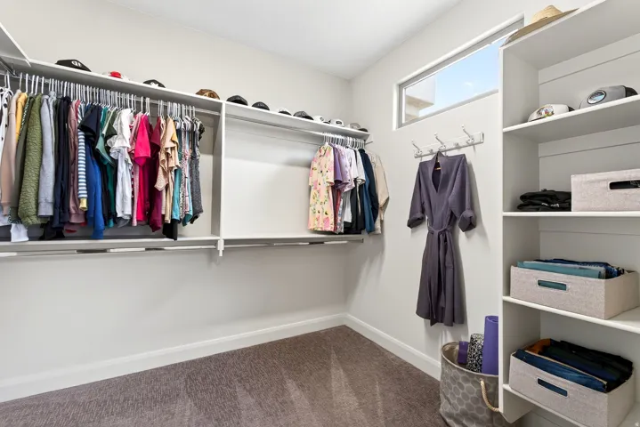 Expansive walk-in closet featuring extensive built-in shelving, multiple hanging rods, a high transom window, and neutral carpet flooring