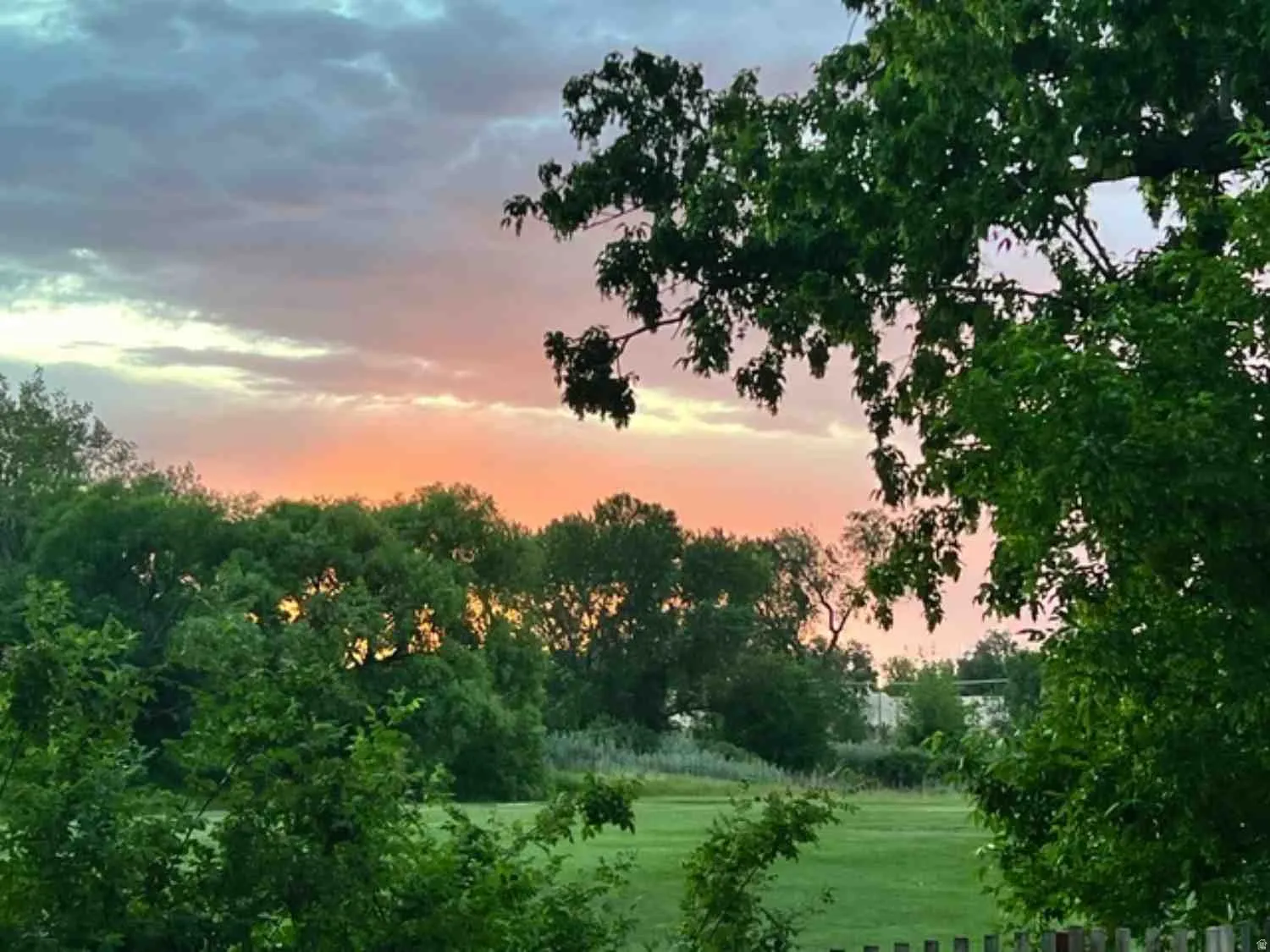 Expansive green space featuring a natural tree line and a vibrant sky with visible clouds