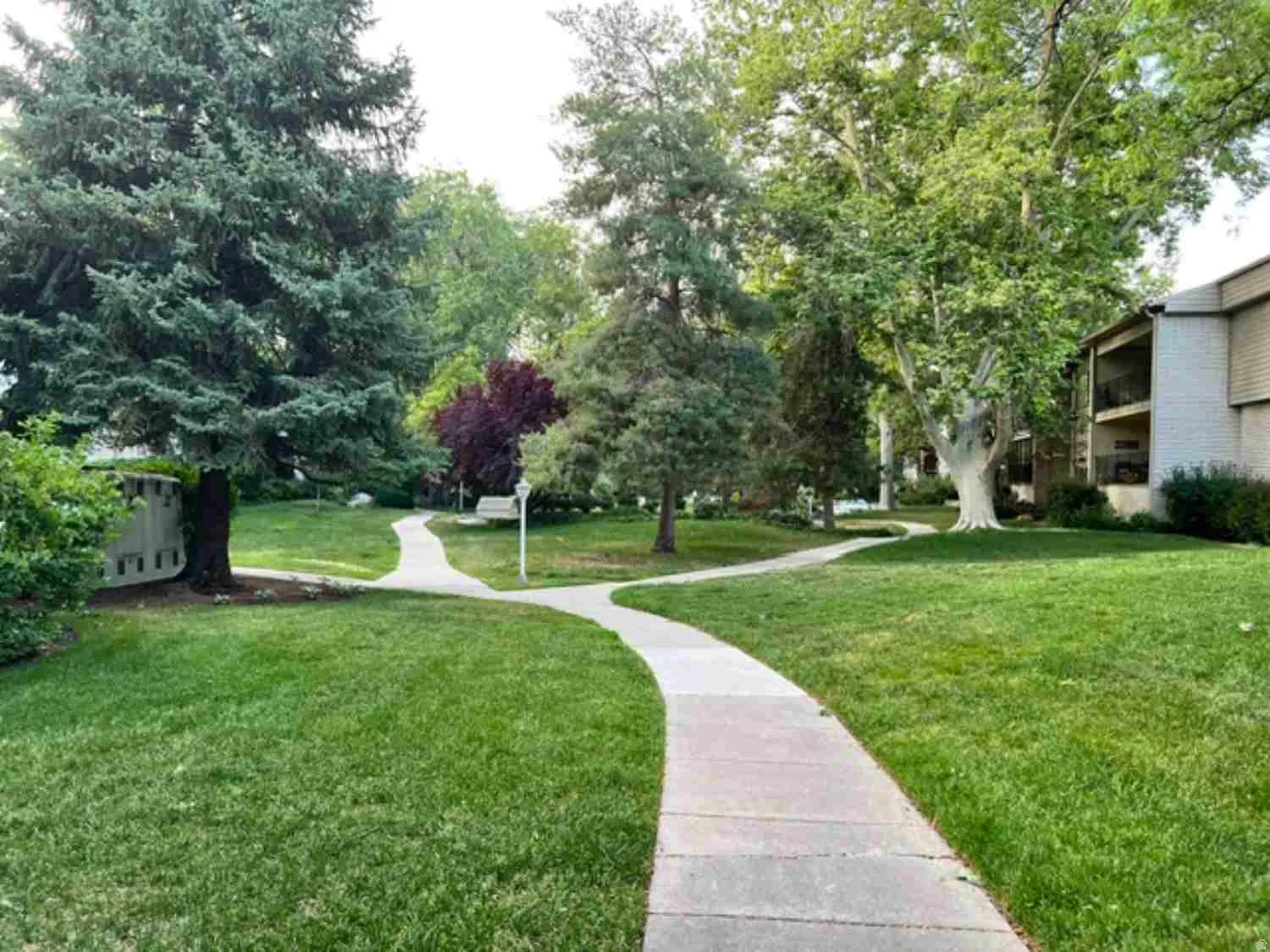 Expansive green space featuring curving concrete pathways and mature trees
