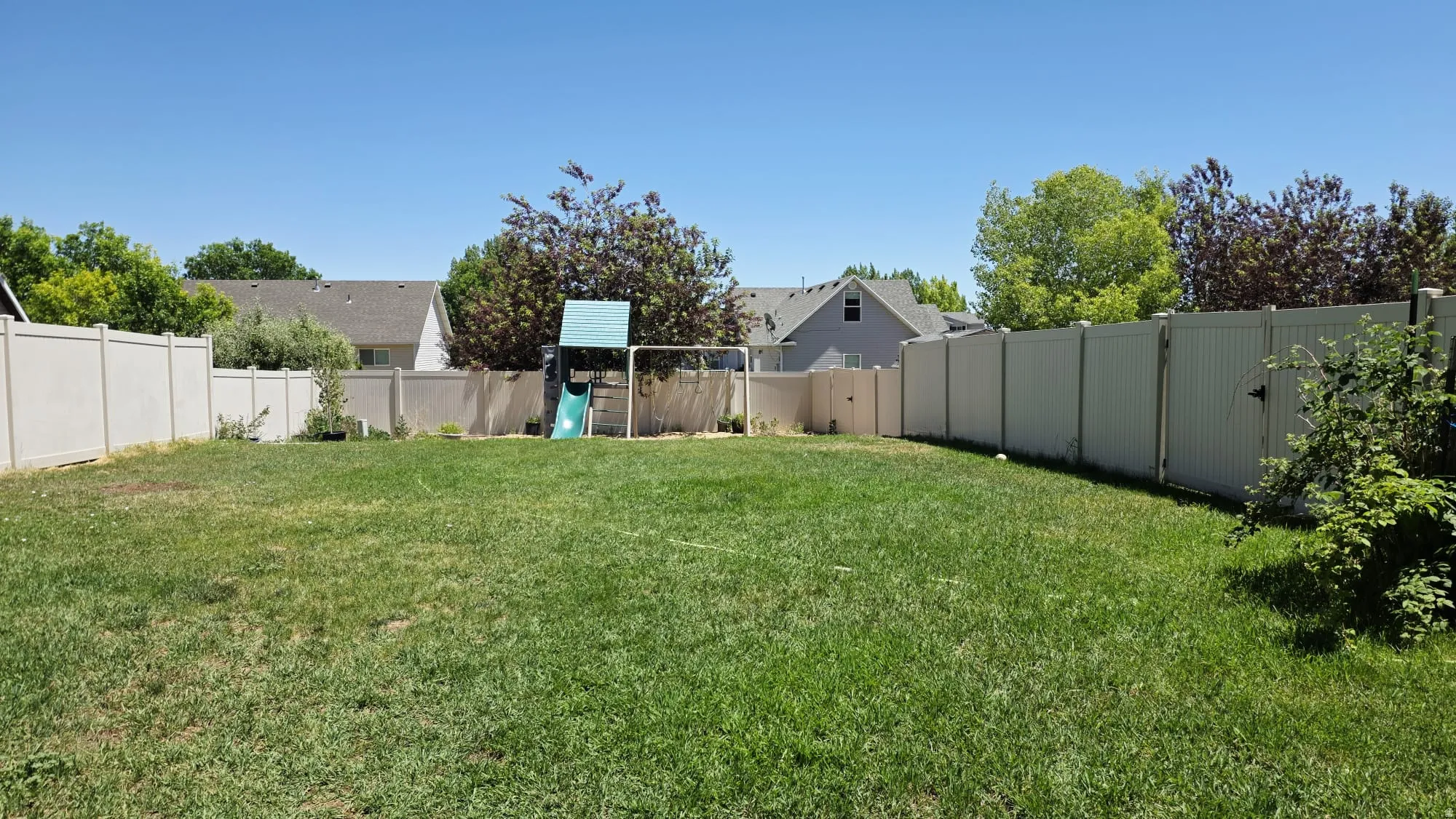 Expansive green lawn surrounded by privacy fencing
