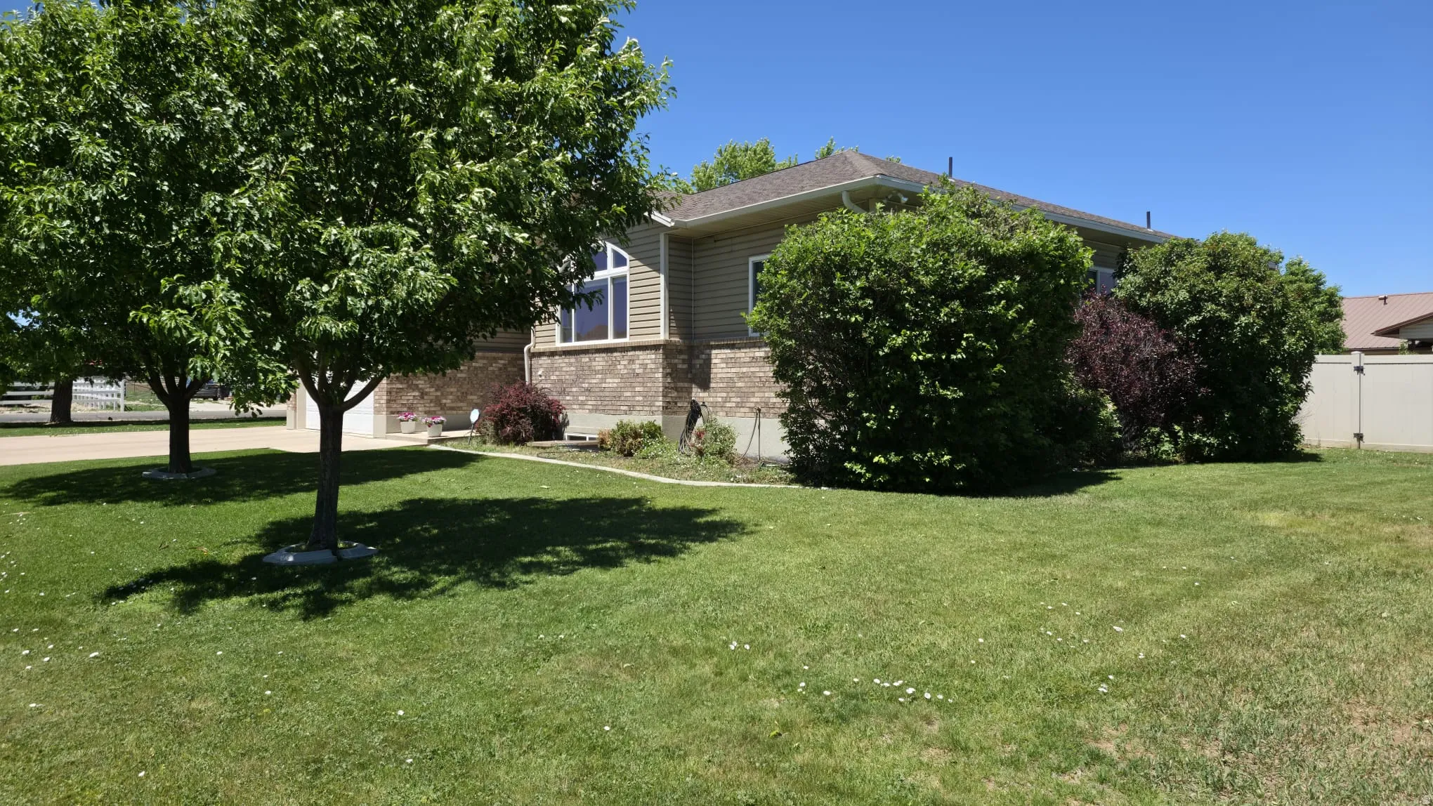 Expansive lawn with mature trees, a paved driveway, and established shrubbery bordering the home's exterior