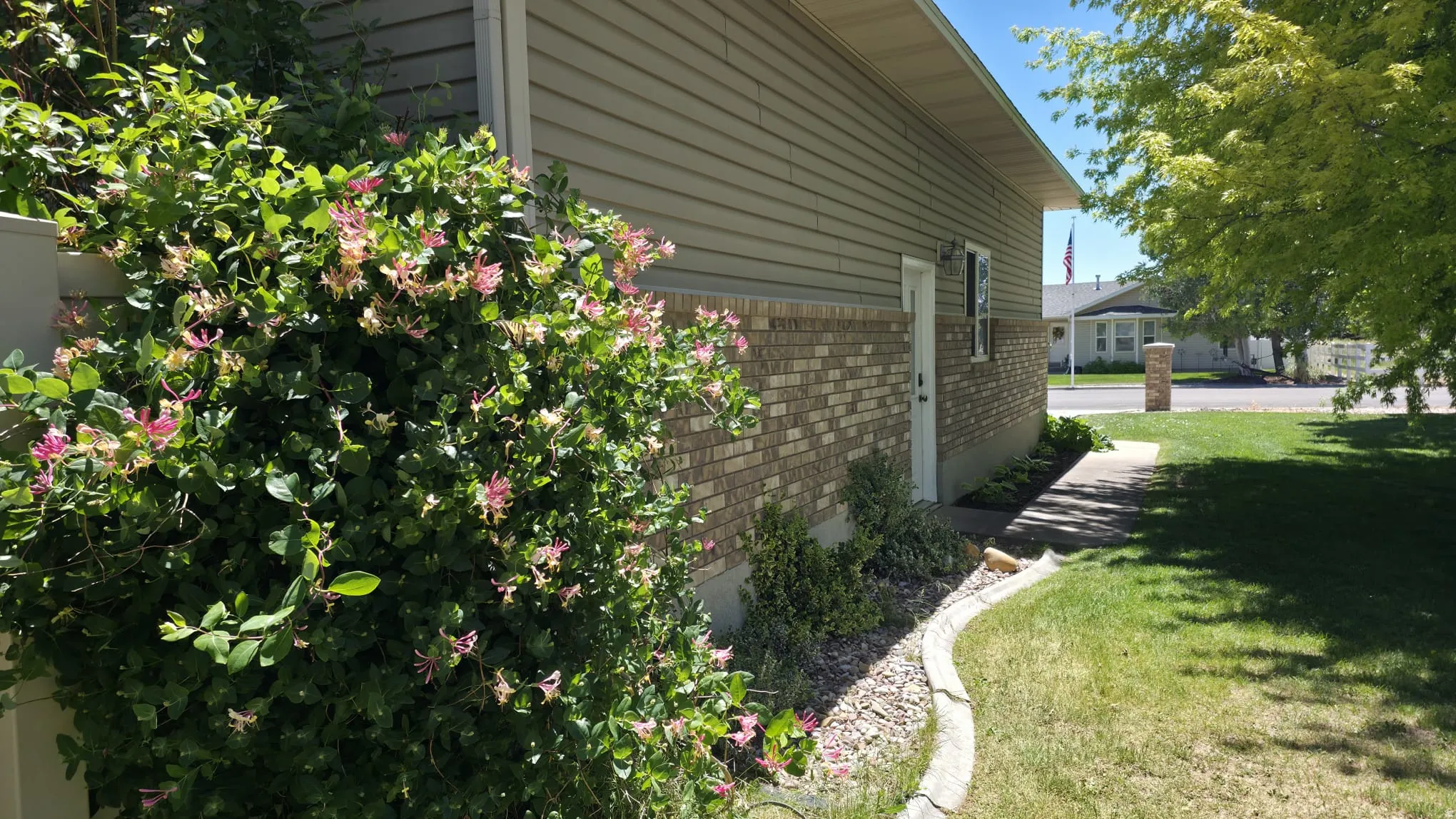 Exterior siding with brick accent, complemented by a concrete walkway