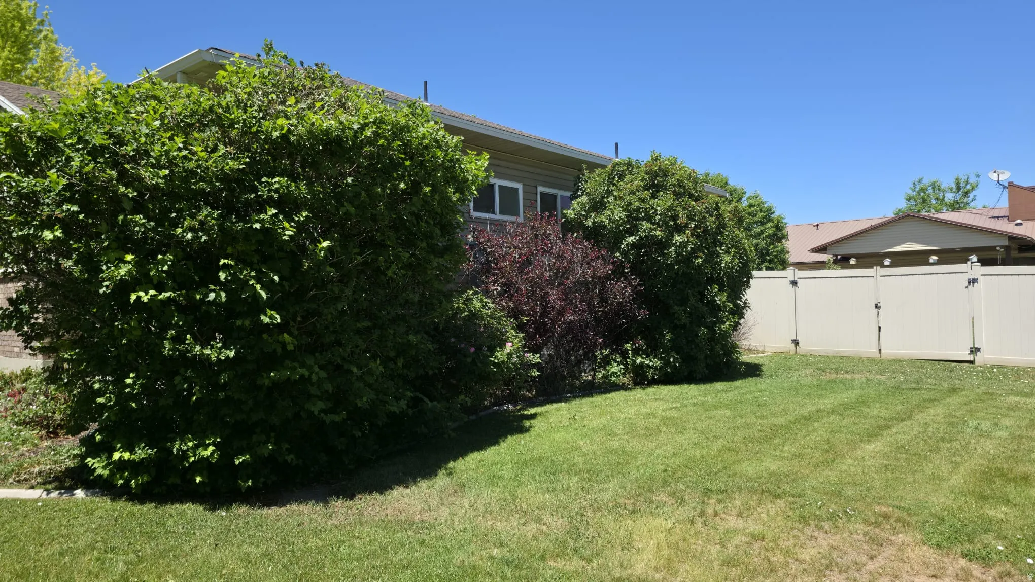 Expansive exterior featuring a manicured lawn, established landscaping, and a tan privacy fence with double gates