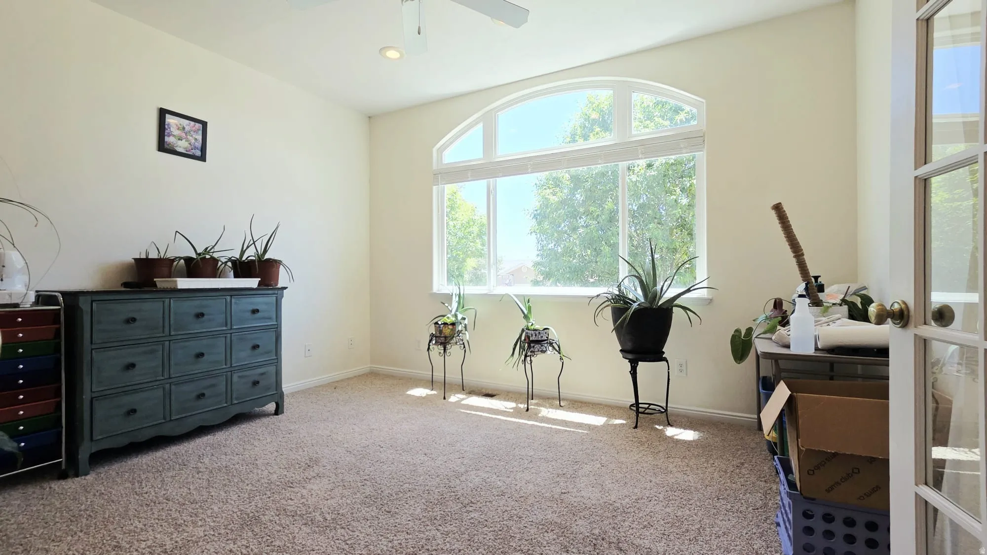 Room featuring a large arched window, neutral carpet, and light-toned walls