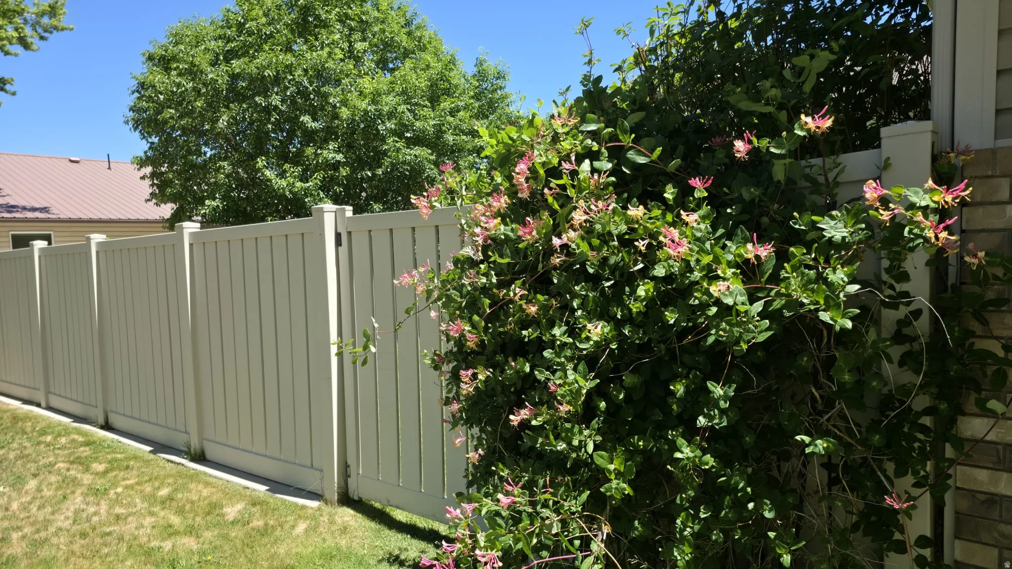 Cream-colored privacy fencing with a single gate, surrounded by verdant foliage and flowering vines