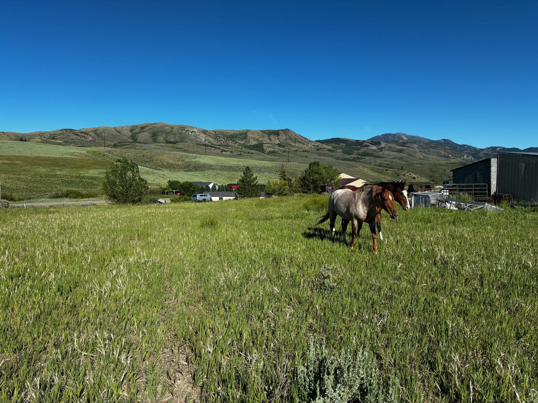 View from back of property,facing east.  Expansive green pastureland with distant mountain ranges