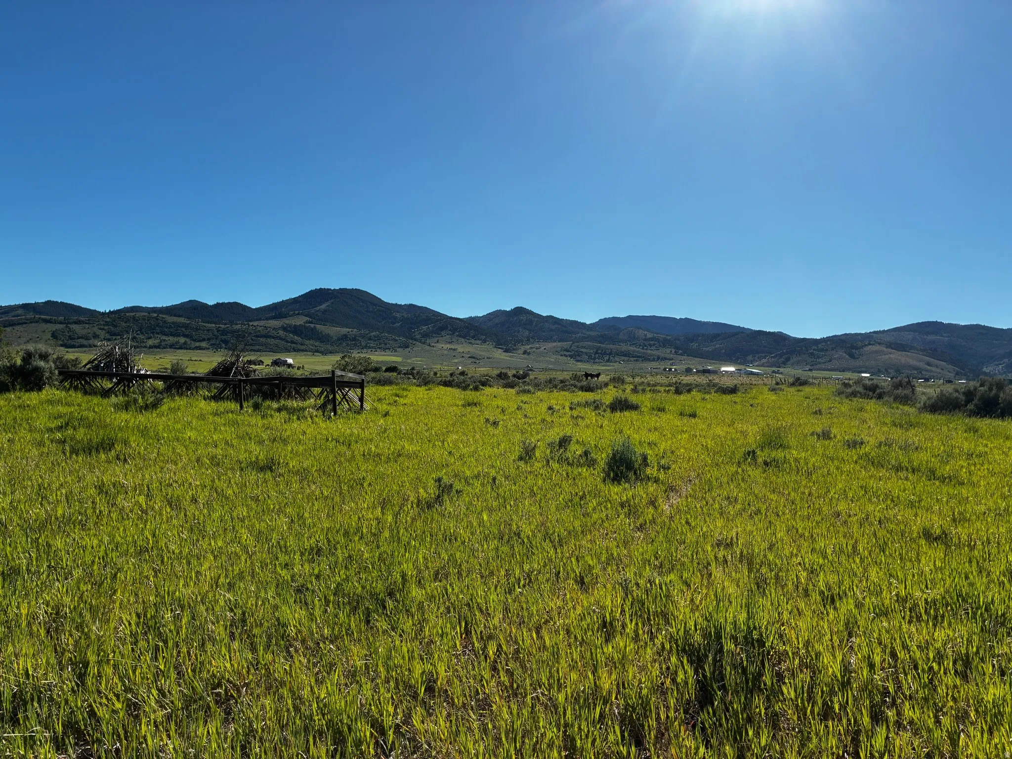 Expansive green pastureland with distant mountain ranges