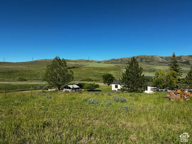View from back of property. Expansive grassy acreage featuring distant rolling hills, mature trees.