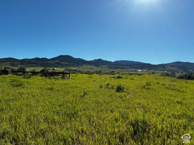 Expansive green pastureland with distant mountain ranges