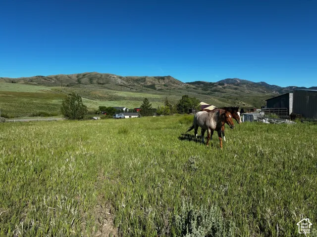 View from back of property,facing east.  Expansive green pastureland with distant mountain ranges