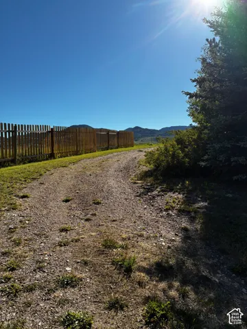 Gravel driveway with natural wood snow fence and mature evergreen trees