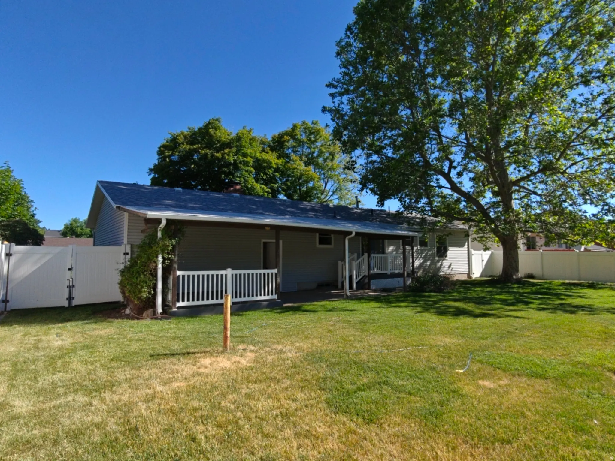 Spacious backyard with a large mature tree, featuring a covered patio and white vinyl fencing