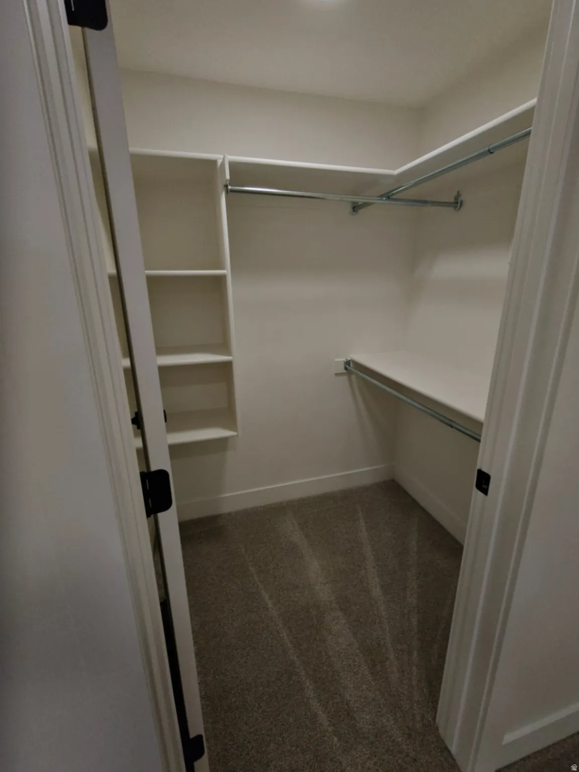 Walk-in closet featuring built-in shelving, hanging rods, and carpet flooring