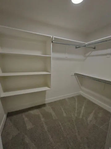 Walk-in closet featuring built-in shelving, chrome hanging rods, recessed ceiling lighting, and neutral-toned carpet flooring