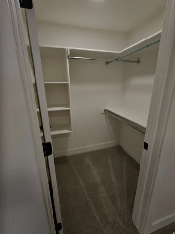 Walk-in closet featuring built-in shelving, hanging rods, and carpet flooring