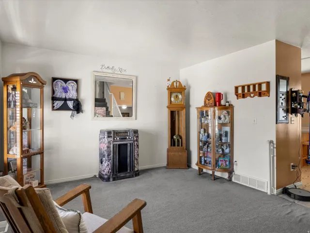 Carpeted interior space featuring white walls and a mirrored wall accent