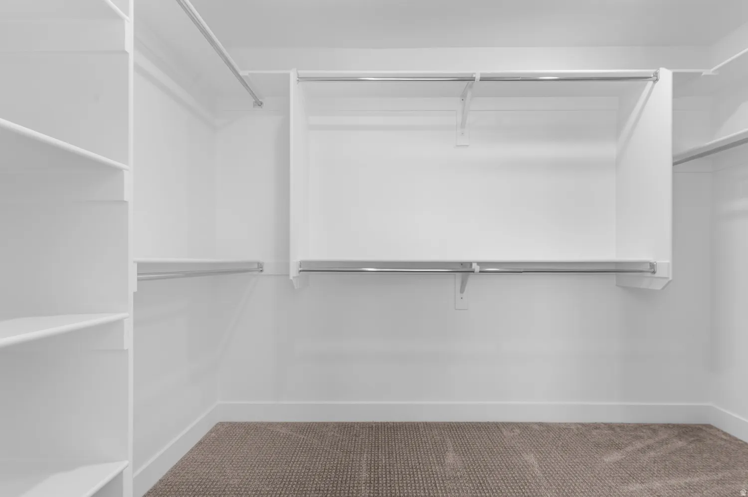 Walk-in closet featuring built-in shelving, multiple hanging rods, white walls, white trim, and neutral-toned carpeting