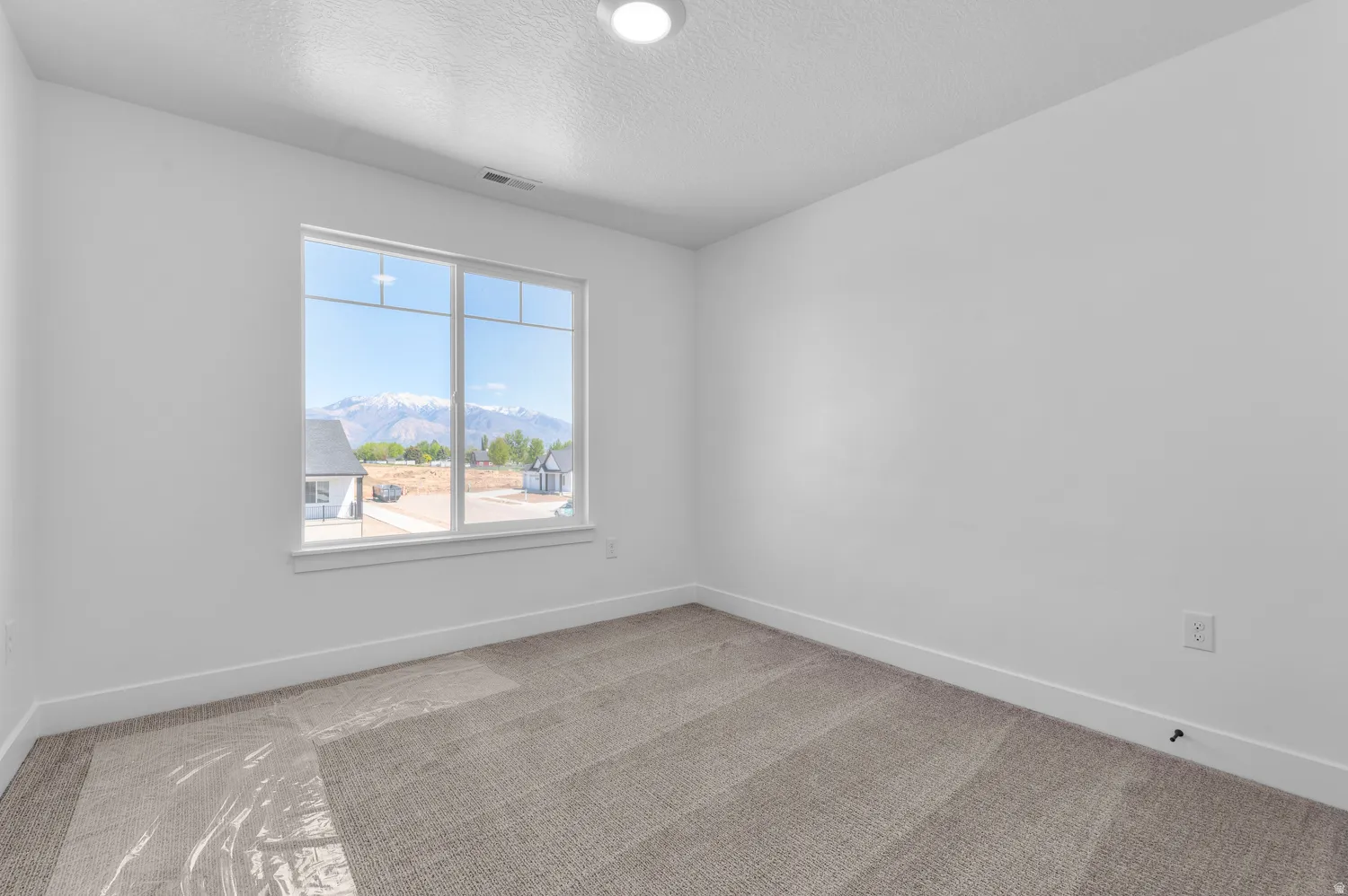 Spacious room featuring a large window, neutral carpeting, white trim, and a prominent mountain backdrop