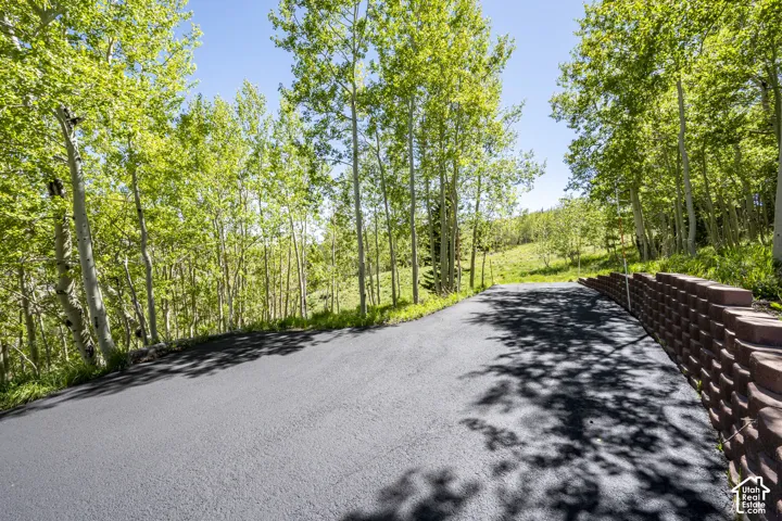 Paved driveway bordered by mature aspen trees and a retaining wall constructed from segmented block