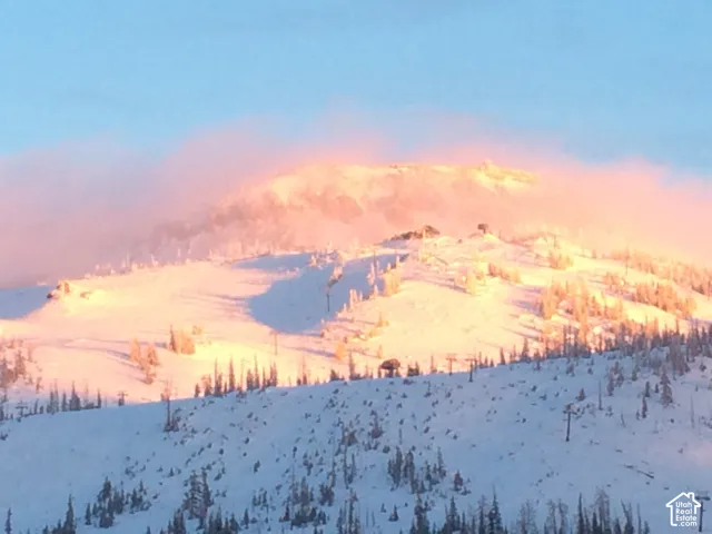 Snow-covered mountain peaks with scattered evergreen trees, bathed in golden light
