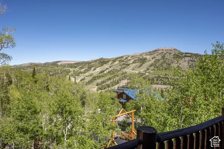 Mountainous terrain with ski runs, surrounded by abundant deciduous and evergreen trees, under a clear blue sky