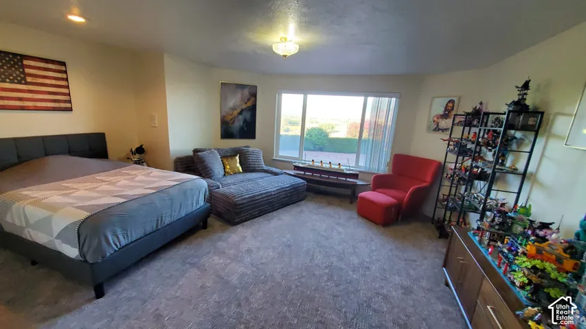 Carpeted room featuring a large window, a ceiling-mounted light fixture, and light-colored walls