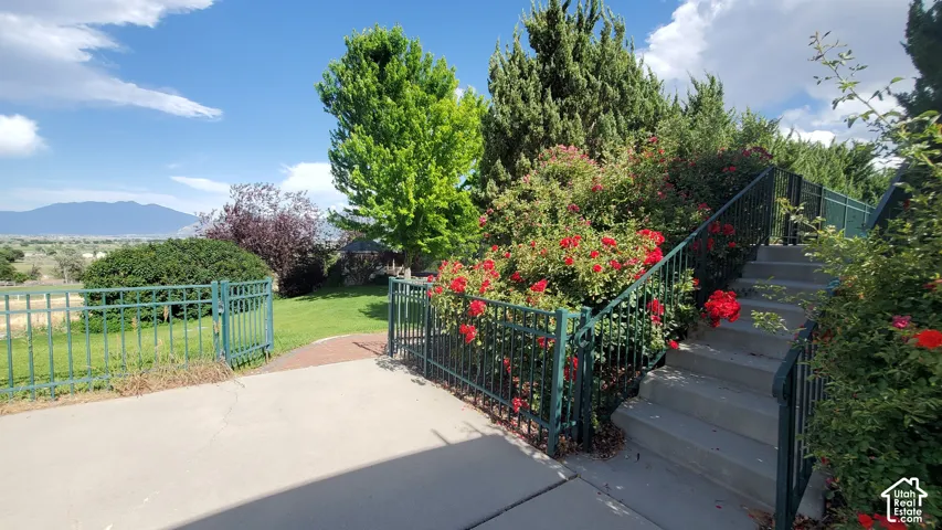 Concrete staircase with dark green metal railings, surrounded by vibrant red rose bushes and mature trees