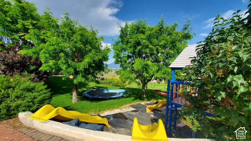 Expansive green lawn with mature trees and established landscaping
