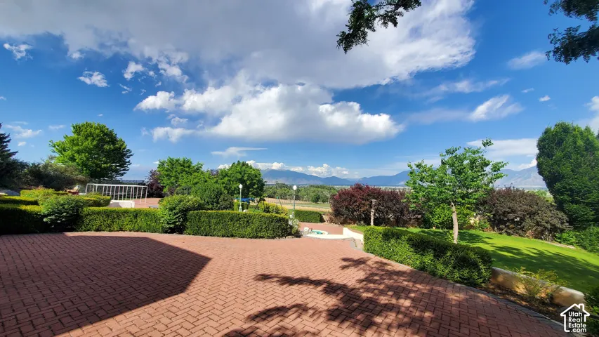 Expansive brick paver patio overlooking a landscaped yard with mature trees and hedges