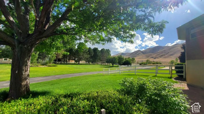 Expansive green lawn featuring mature trees and established shrubbery