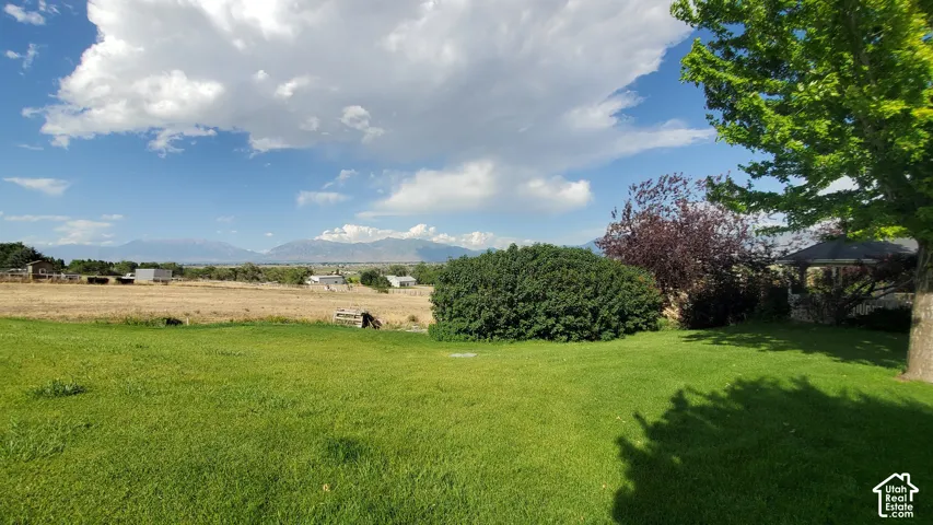 Expansive property featuring a manicured lawn, mature trees, diverse plantings, and distant mountain vistas
