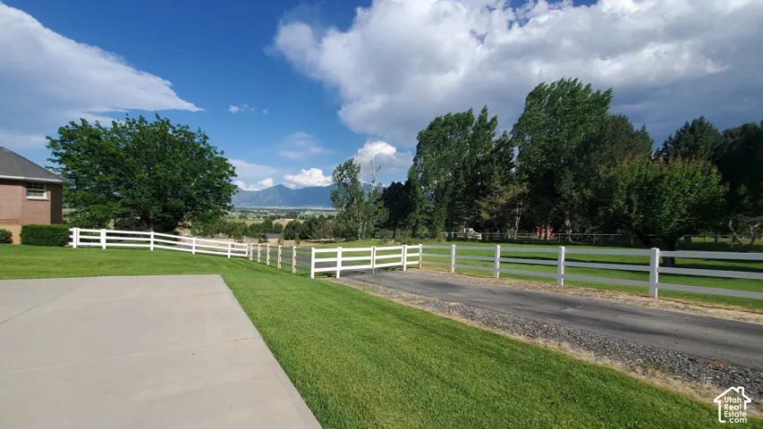 Expansive property featuring a concrete driveway, a white ranch-style fence, a manicured lawn, and mature trees