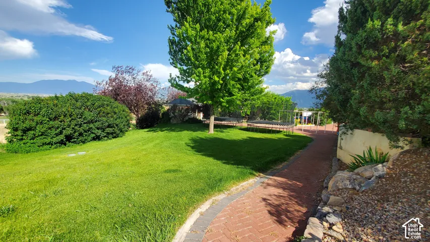 Expansive green lawn with mature trees and established landscaping