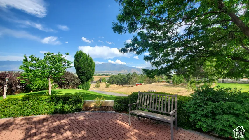 Brick paver patio featuring a wooden bench and mature landscaping
