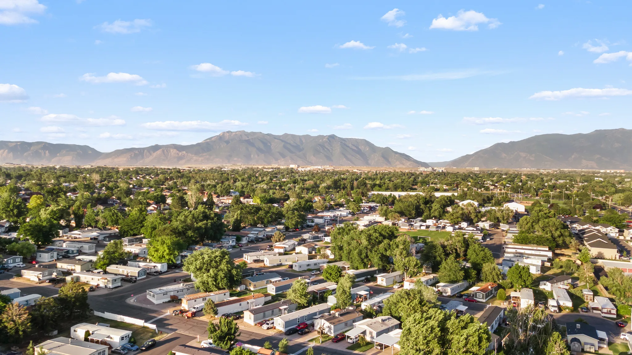 Expansive residential area featuring numerous single-story homes and abundant mature trees