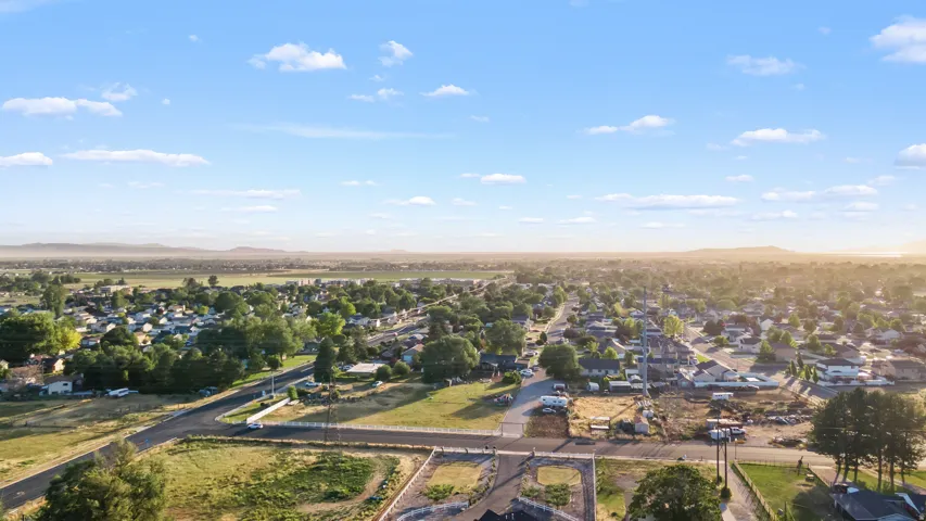 Expansive aerial capturing a developed residential area with scattered mature trees