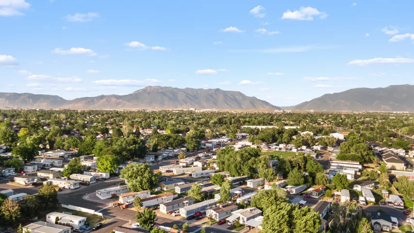 Expansive residential area featuring numerous single-story homes and abundant mature trees