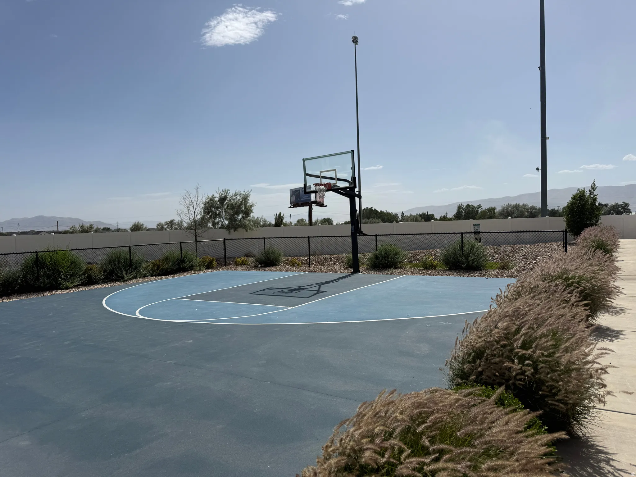 Outdoor basketball court featuring a blue playing surface with white court lines, a black perimeter fence, and mature ornamental grasses bordering a concrete walkway