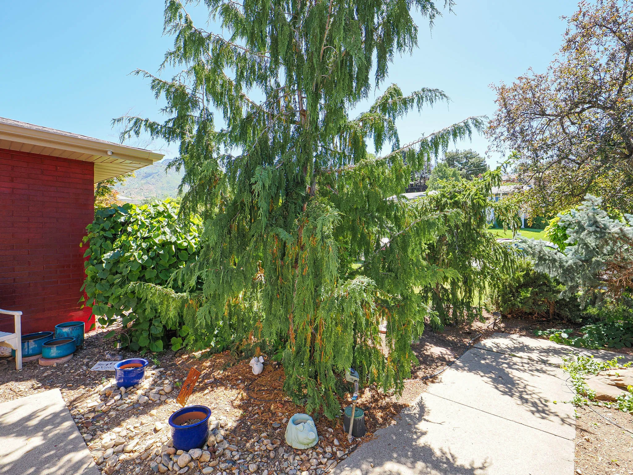 Yard