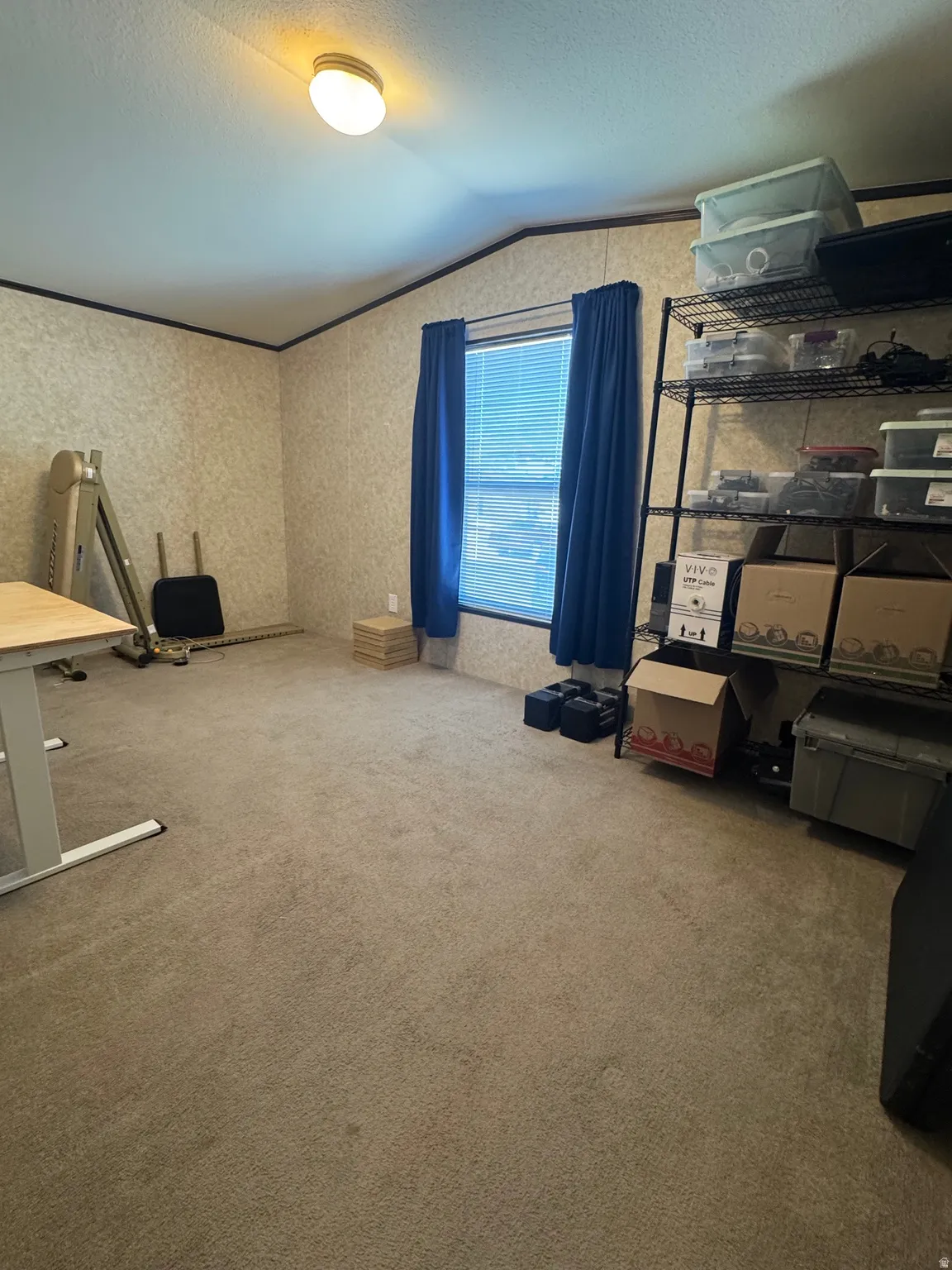 Spacious room featuring neutral carpet flooring, textured wall finishes, and a single window with blinds