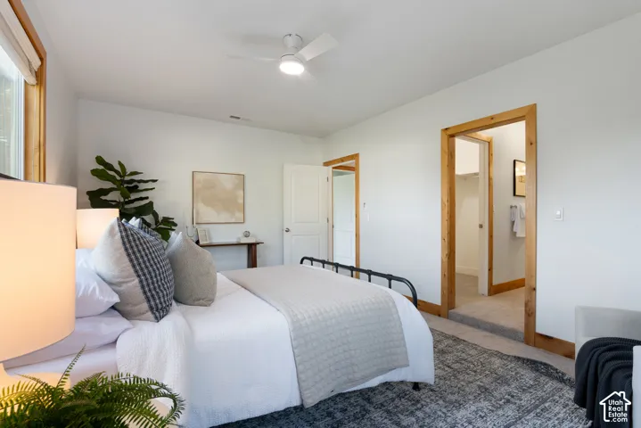 Spacious bedroom featuring light wood window and door trim, a ceiling fan, and carpeted flooring