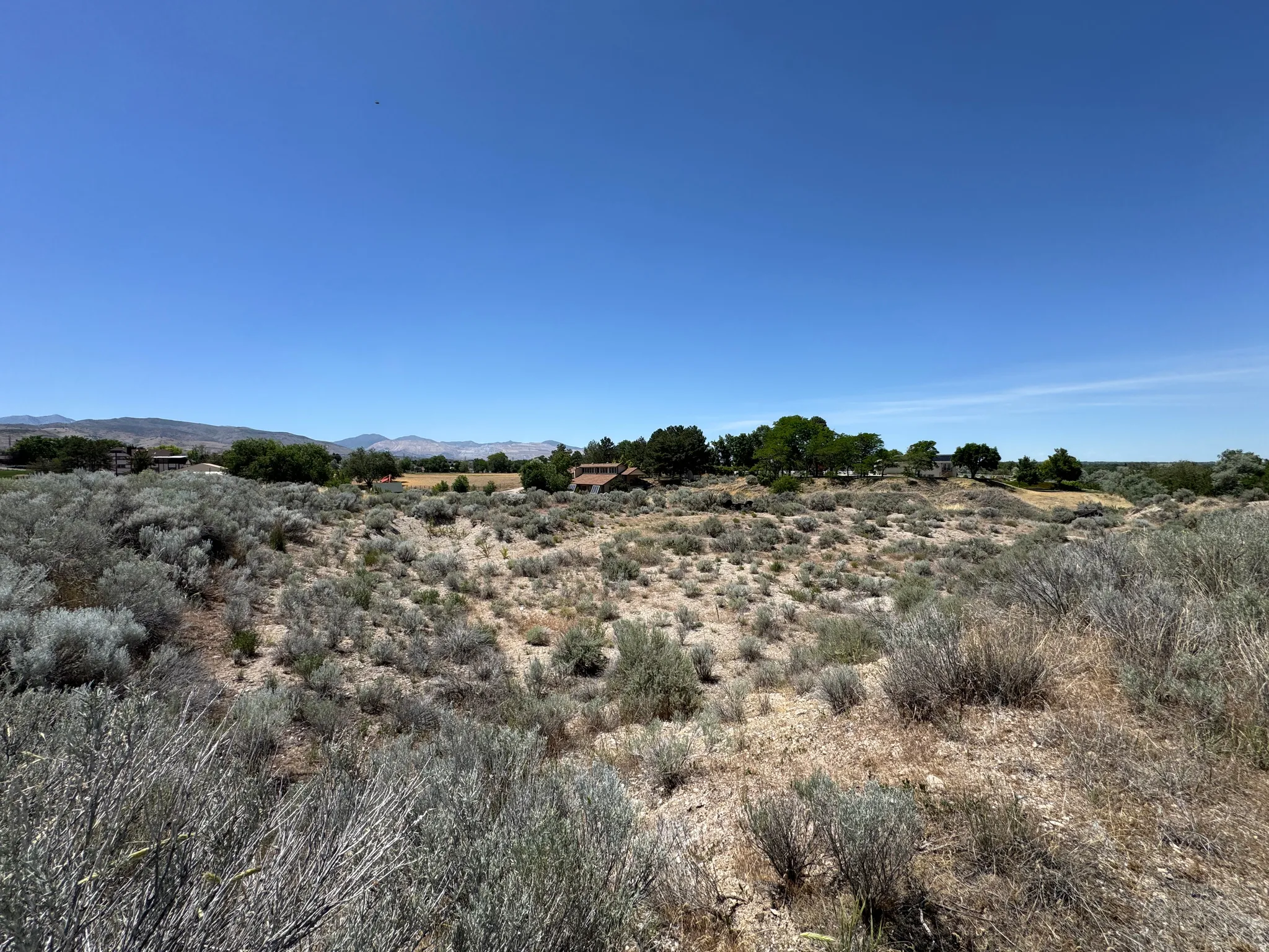 North western view of the lot from the south eastern corner.