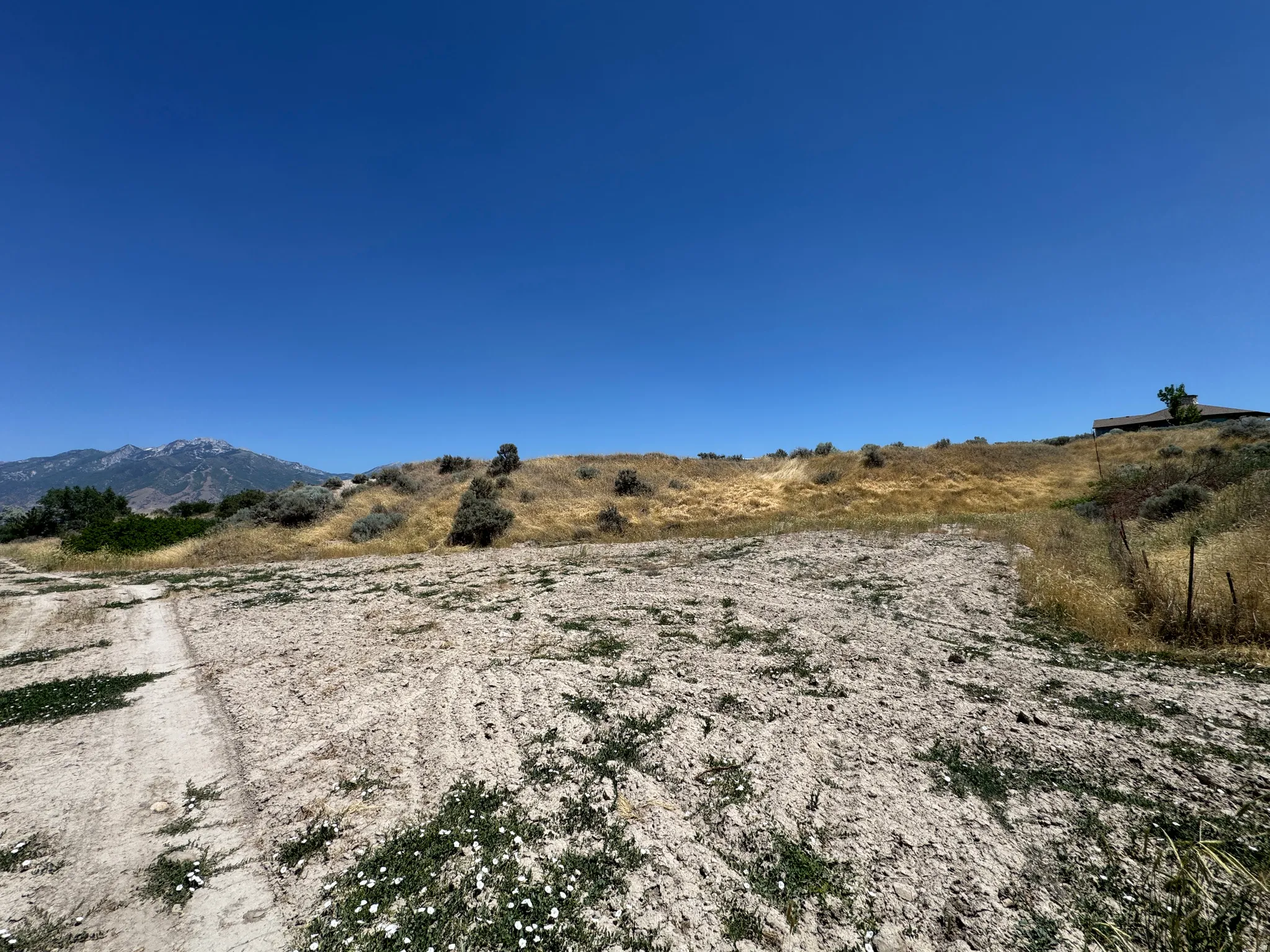 View from north west corner of the lot looking south east.