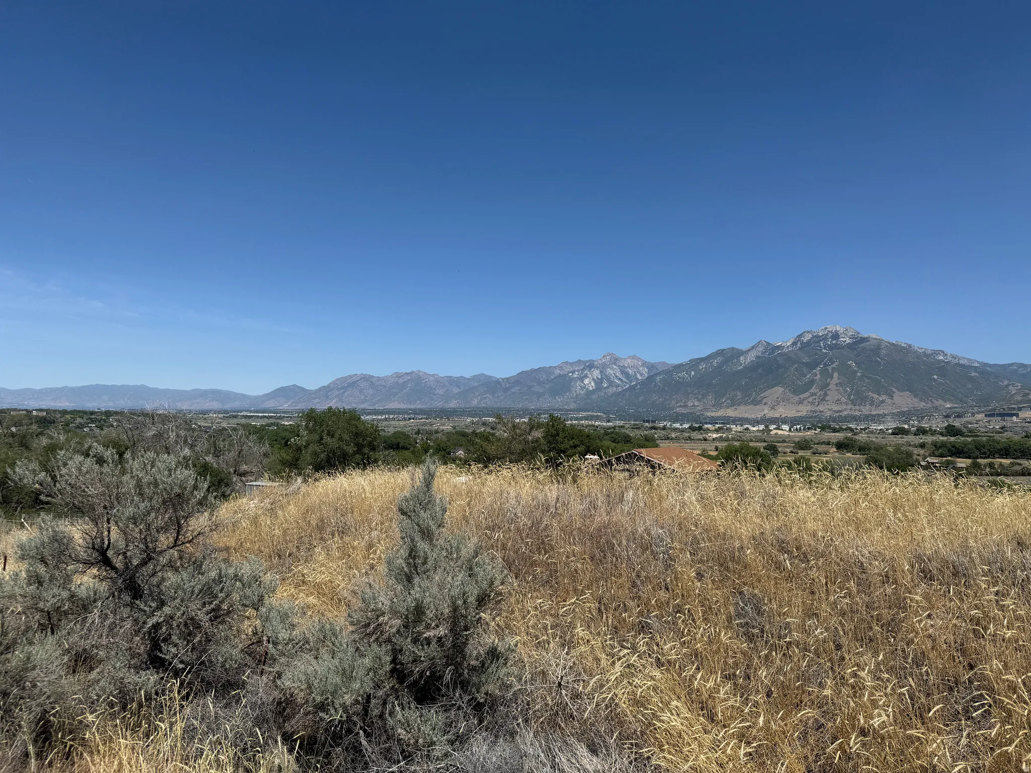 View north west of the lot.