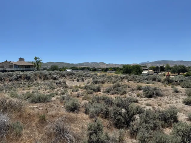 Looking south from the northern side of the lot.