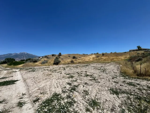 View from north west corner of the lot looking south east.
